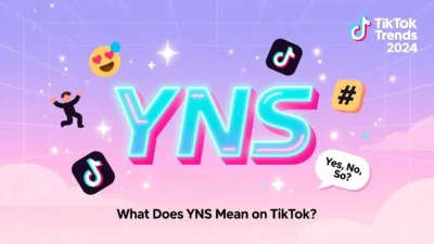 YNS Mean on TikTok